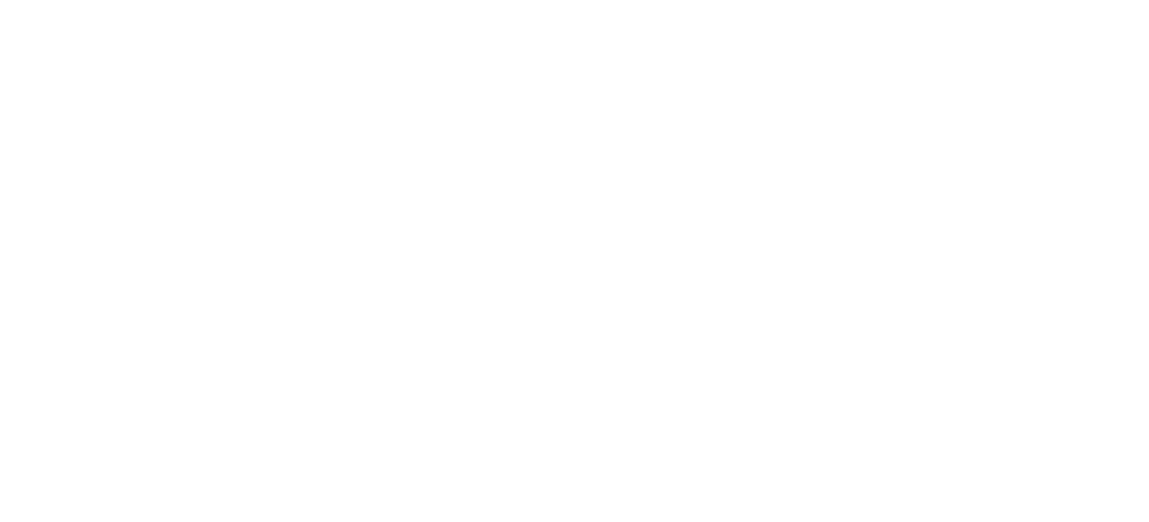 ASSET FIVE