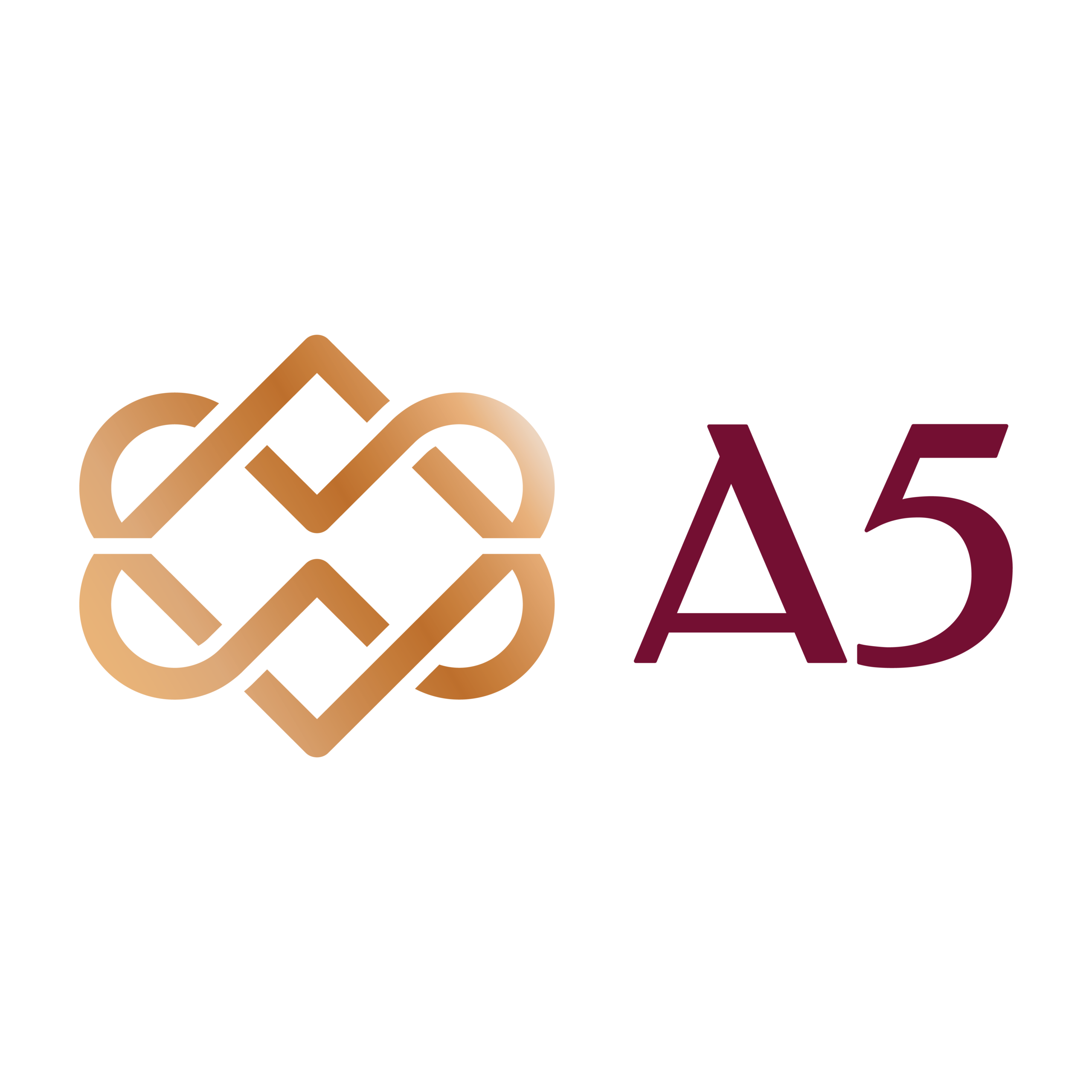 ASSET FIVE